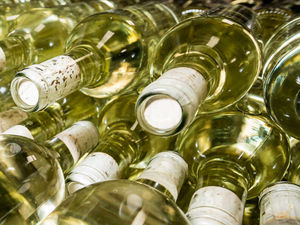 Supporting image for story: Shrewsbury vineyard project set to get the green light