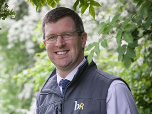 Supporting image for story: Are commodity prices impacting the land market? 