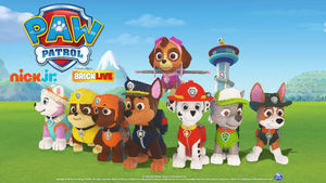 Supporting image for story