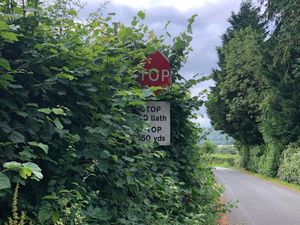 Supporting image for story: Motorists encouraged to report obscured road signs