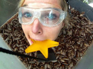 Supporting image for story: Poll: Is 'I'm a Celebrity . . .' cruel to animals?