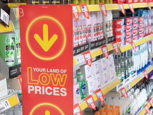 Supporting image for story: Poundland 'resets' store prices to support squeezed shoppers
