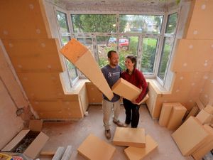 Supporting image for story: Homeowners to offer tips on how making houses greener in open door day