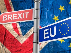 Supporting image for story: Brexit means Brexit . . . doesn't it?