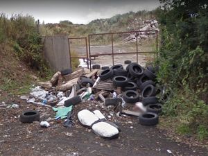 Supporting image for story: Fears over environmental risk on natural burial ground plan