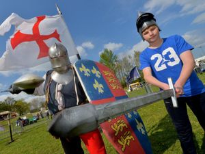 Supporting image for story: Fun in the sun at Telford Town Park St George's Day Festival 