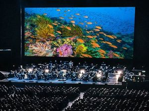 Supporting image for story: Prague Philharmonic Orchestra to perform at Blue Planet II: Live in Concert in Birmingham