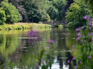 Supporting image for story: Take look at fairy trail in Temple Wood