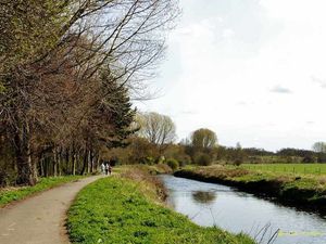 Supporting image for story: Developing your photography #photography