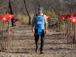 Supporting image for story: Harry echoes Diana’s legacy in visit to Angolan minefield