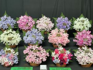 Supporting image for story: Town ready to celebrate its iconic heritage with annual sweet pea show