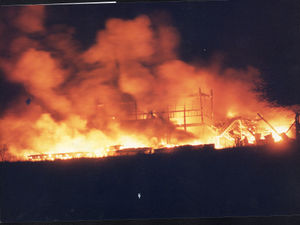 Supporting image for story: Flashback to February 1993