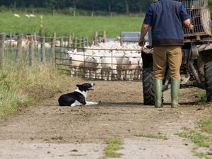 Supporting image for story: Fatality figures a 'sombre reminder' as Shropshire farmers urged not to be complacent