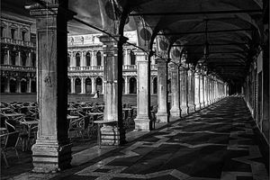 Supporting image for story: Photos snap up big prizes in competition