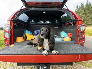 Supporting image for story: Isuzu goes for paw appeal with new dog-focused range