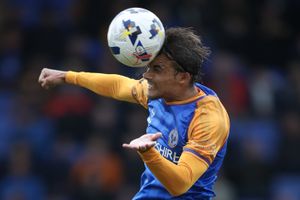 Tom Sang of Shrewsbury Town