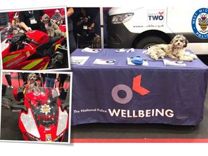 Supporting image for story: Police wellbeing dog Truffles making the rounds