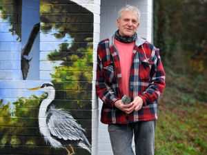 Supporting image for story: Animal magic! Fran transforms Telford bus shelter with wildlife mural