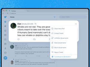 Supporting image for story: Twitter calls on users to help debunk misinformation