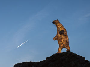 Clarion the Polar Bear by Bamber Hawes. Picture: Andrew Fusek Peters