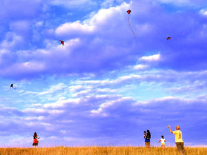 Supporting image for story: Beauty spot with breathtaking views set to be declared nature reserve