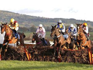 Supporting image for story: Racegoers bag a winner at charity day