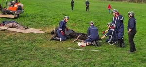 Firefighters working on the horse