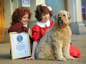 Supporting image for story: Video: Pet dog Danny clocks up world record for 1,400 appearances on stage