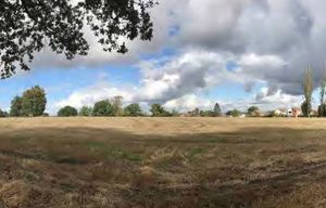 Land off Lyth Hill Road where the homes would be built. Picture: Redrow Homes