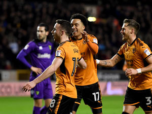 Supporting image for story: Wolves 2 Norwich City 2 – Report and pictures
