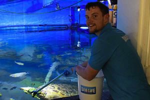 Supporting image for story: Birmingham SEALIFE turtle surfs over the green veg crises