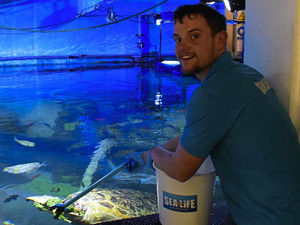 Supporting image for story: Birmingham SEALIFE turtle surfs over the green veg crises