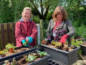 Supporting image for story: Mayor appeals for blooming lovely volunteers to help ready the town for judges 