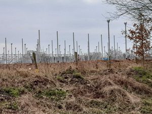 Work taking place to install the polyhouses.