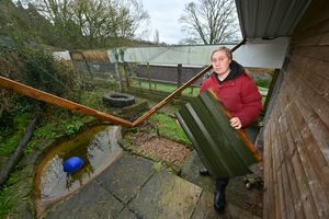 Brockswood Animal Sanctuary and damage to multiple enclosures in recent storms. 