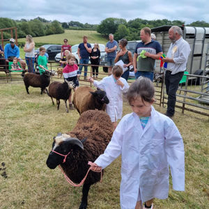 Josie Williams in Young Handler ring