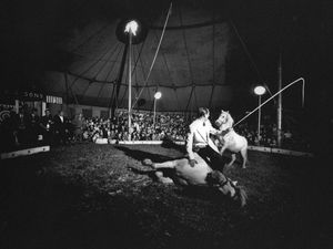 Supporting image for story: Fontaines D.C., Dogrel - album review