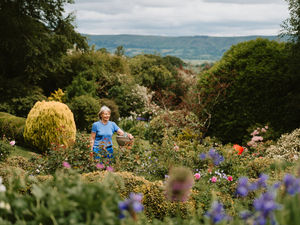 Supporting image for story: Beautiful gardens open in Shropshire Hills for churches trust