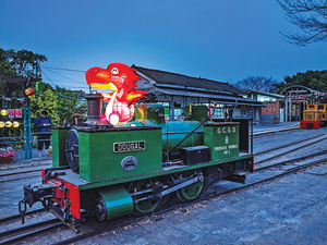 Supporting image for story: Globe trotting Douglas returns home