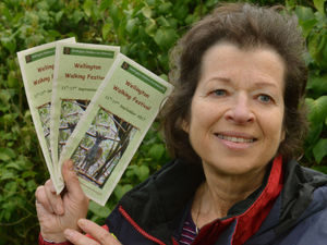 Supporting image for story: Wellington Walking Festival is under way