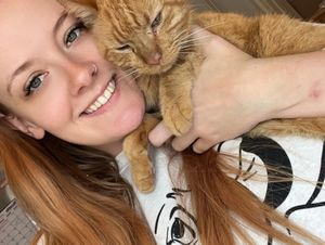 Supporting image for story: Missing cat no longer Jinx-ed as owner gets him back after THREE MONTHS