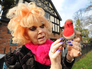 Supporting image for story: Plea for return of robin figurine