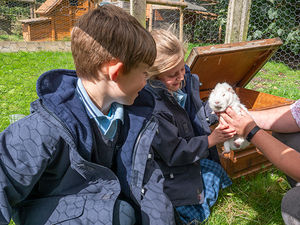 Supporting image for story: Learning down on the farm 