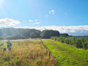 Supporting image for story: Council 'out of options' as High Court refuses appeal against controversial solar farm near Wrekin 