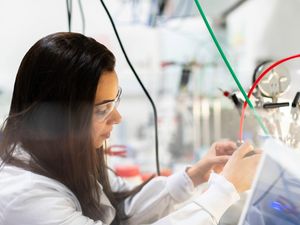 Supporting image for story: Taking a step closer to clean industrial growth