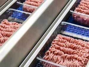 Supporting image for story: Tulip invests £1m in new line