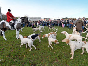 Supporting image for story: Boxing Day hunts set off amid fresh concerns over future