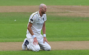 Burnt out: Warwickshire cricketer Oliver Hannon-Dalby