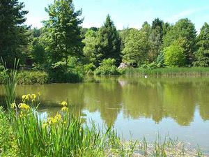 Supporting image for story: Bodenham Arboretum expansion is unveiled