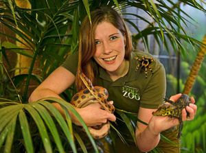 Sam Jones, from the Exotic Zoo in Donnington, with a Mexican red-kneed tarantula, West African crocodile and a Brazilian boa